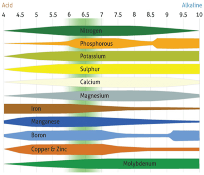 Blog | PH and Its Effects on our Crops’ Soil